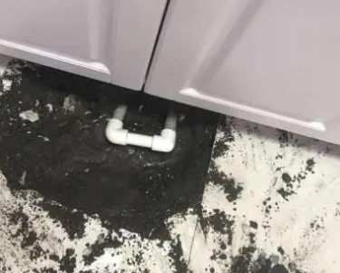 乃东查漏水哪家好