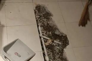 乃东卫生间漏水检测电话